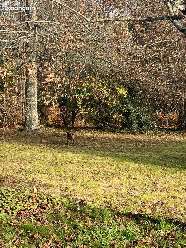 Maison 6 pièces 180 m² · à Milly-la-Forêt · 180 m² · 400 000 €