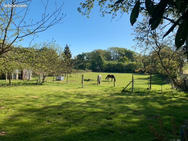 Maison trés agréable sur 1 hectare