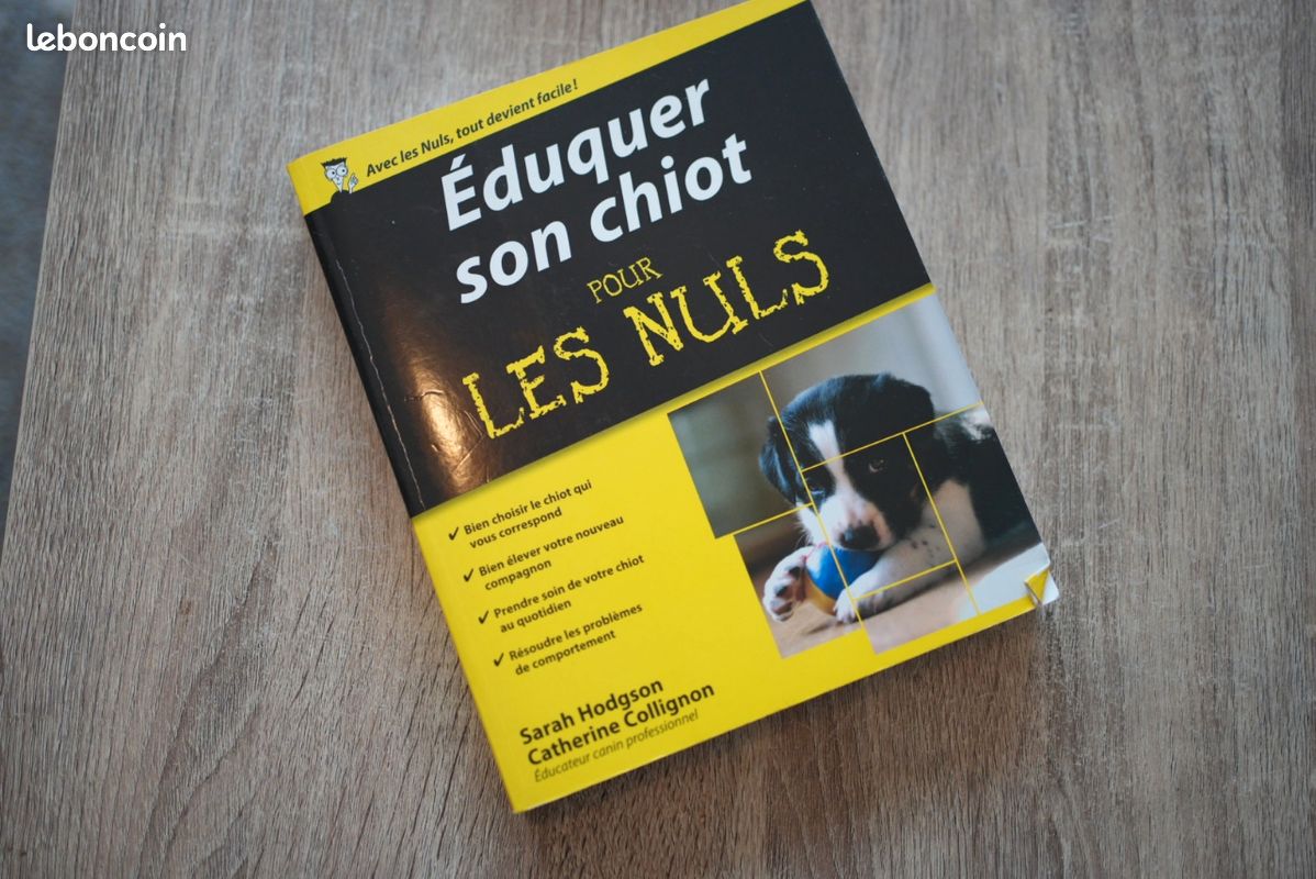 Livre éduquer son chiot pour les nuls (image 1)