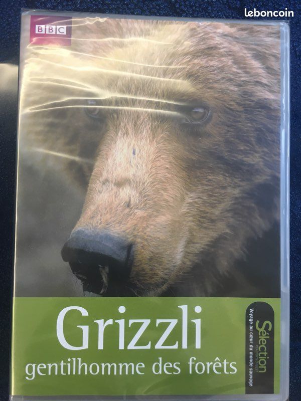 Grizzli gentihomme des forêts (image 1)