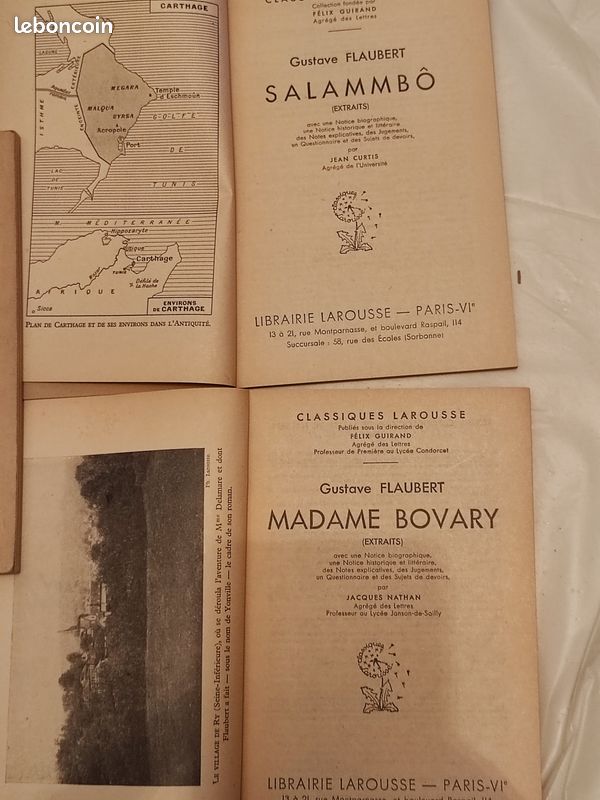 Gustave Flaubert (image 5)
