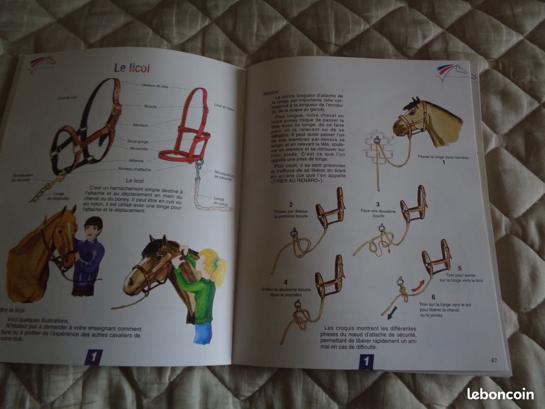 Livre d'équitation (image 5)