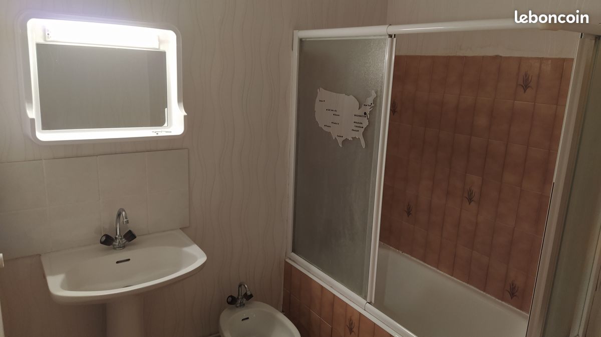 T1 39m² quartier fac de lettres - Limoges 87000 Vanteaux-CHU-Mas Bouyol-Puy Rodas (image principale 2)