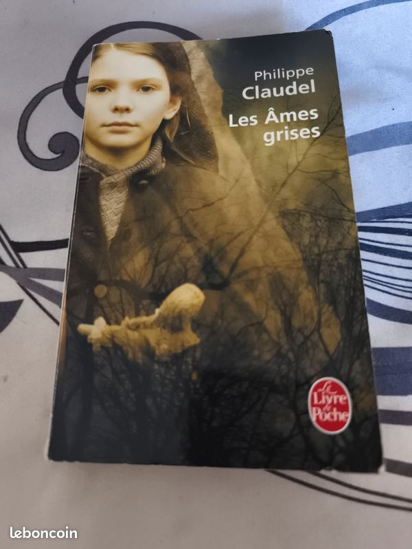 LES AMES GRISES de Philippe CLAUDEL (image 1)