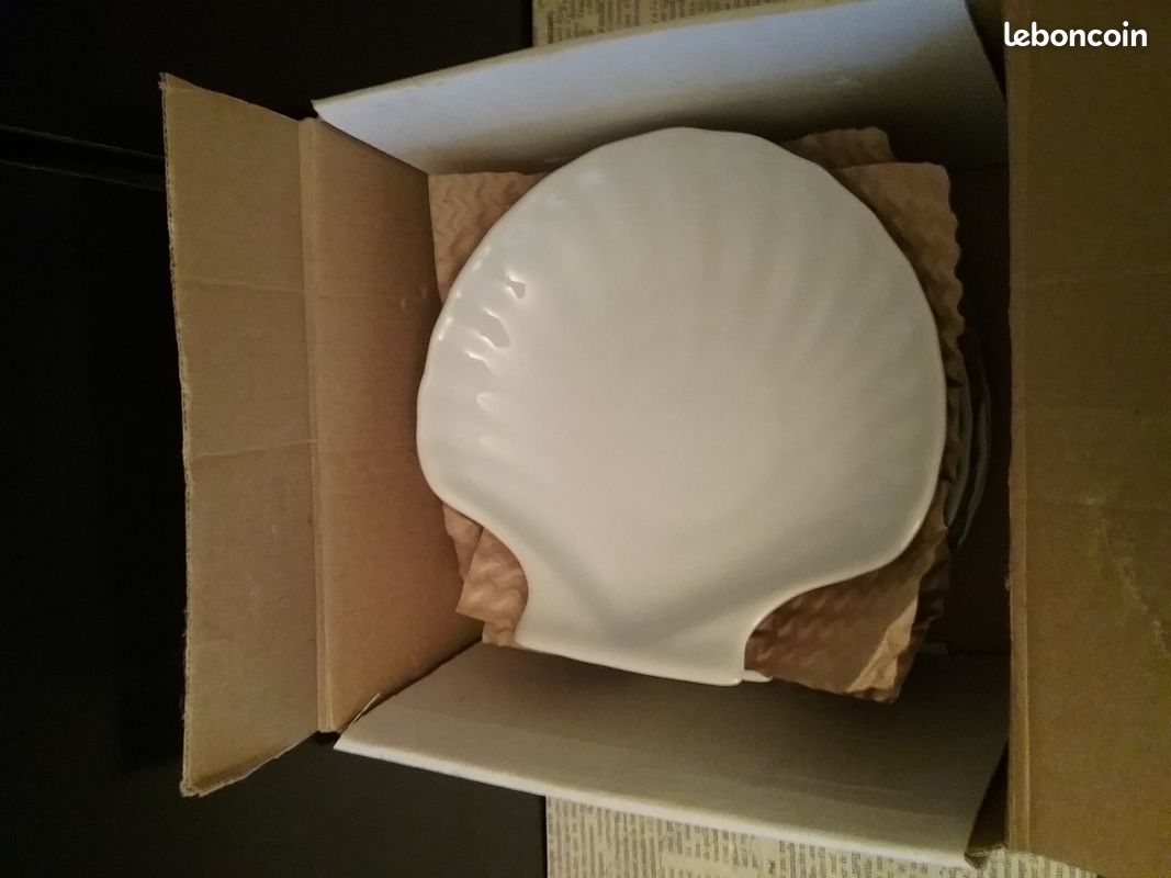 Coquille St Jacques de marque l’Hirondelle – lulu 31 (image 4)