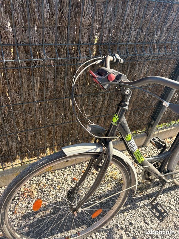 Vélo de ville femme Veranclassic – cadre bas – plusieurs vitesses (image 2)