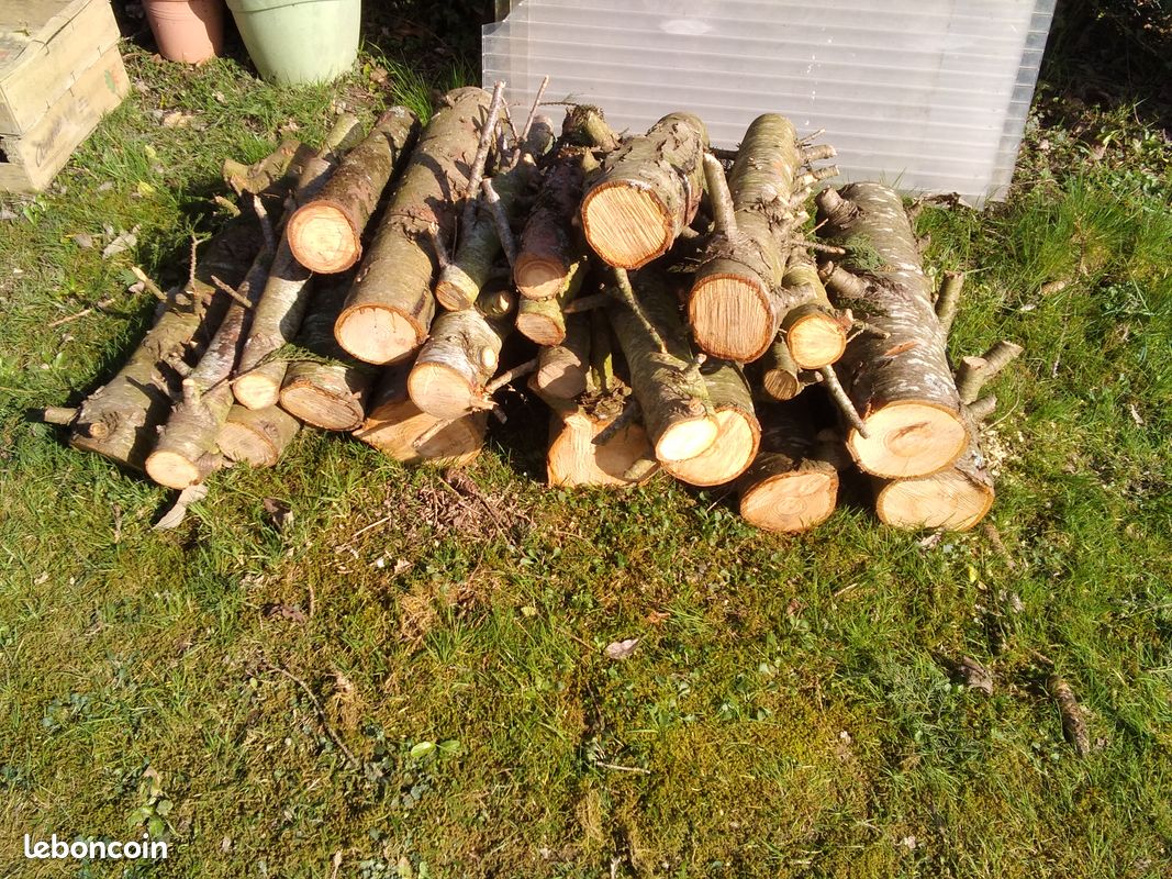 Planche De Chêne Brut - Dimensions 58 X 16 X 2,5 Cm - Bois Dur Pour Bricolage Et Artisanat