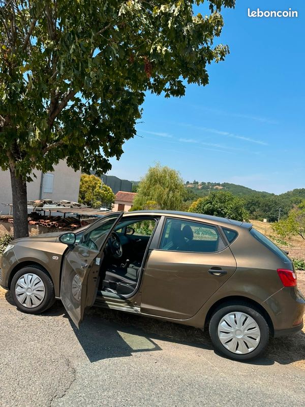 Seat ibiza (image 2)