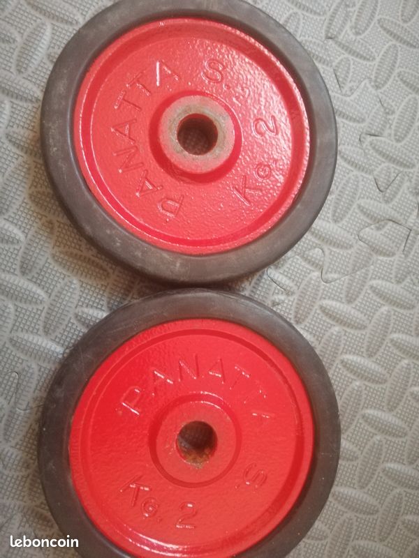 Disque de poid musculation (image 2)