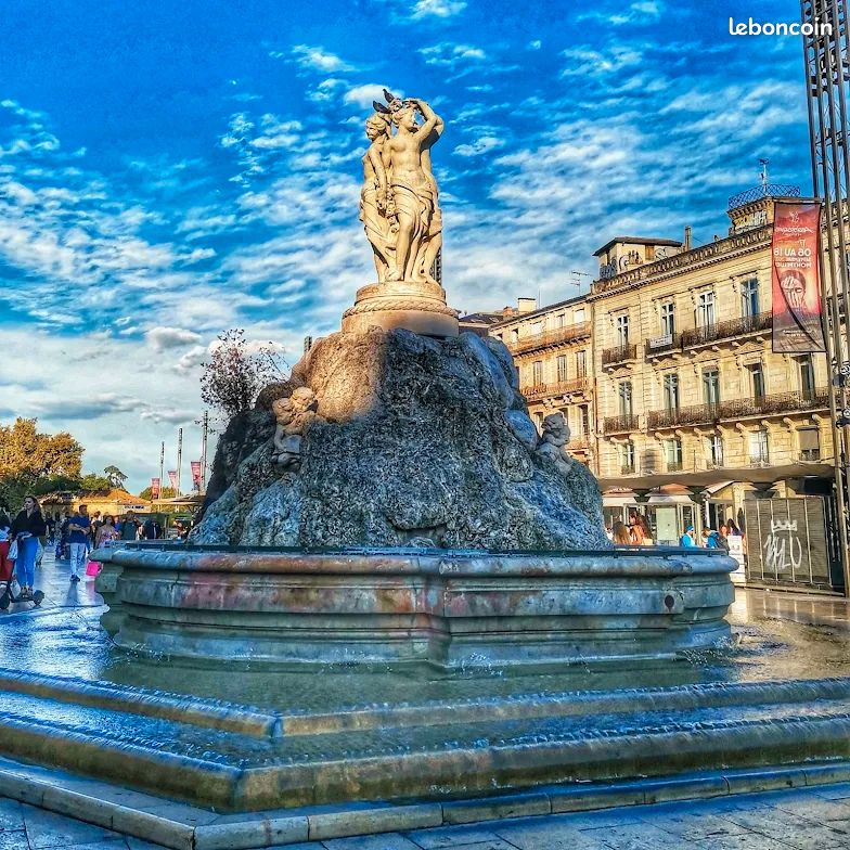 Appartement 1 pièce 30 m² · à Montpellier · 30 m² · 800 €