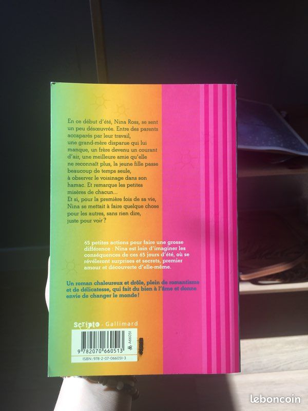 Livre « l’été ou j’ai sauvé le monde en 65 jours » (image 2)