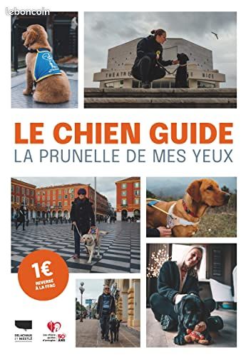 Le Chien guide: La prunelle de mes yeux (image 1)