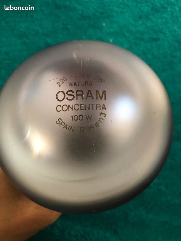 Ampoule 100W E27 OSRAM CONCENTRA RÉFLECTEUR R95 (image 3)