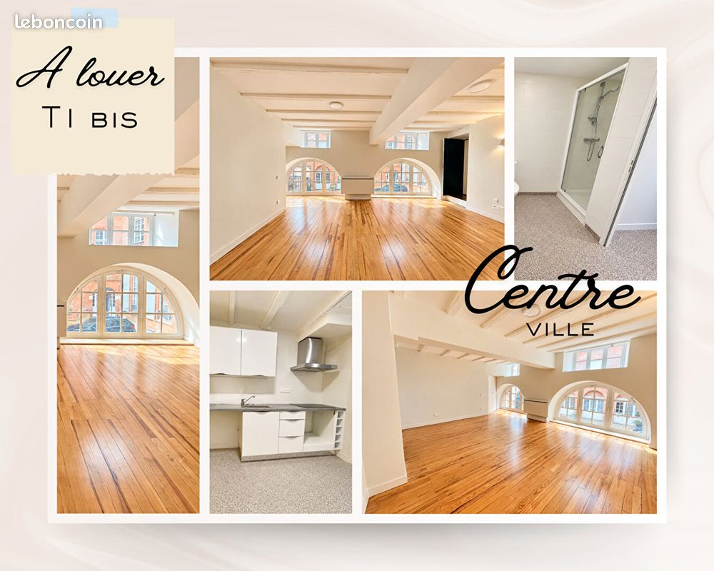 Appartement 2 pièces 41 m² · à Montauban · 41 m² · 470 €/mois