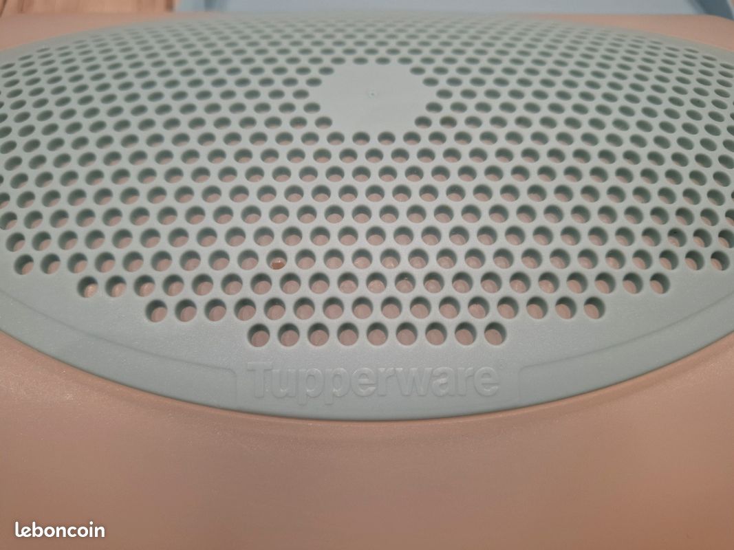 Plat cloche de transport tupperware - Arts de la table