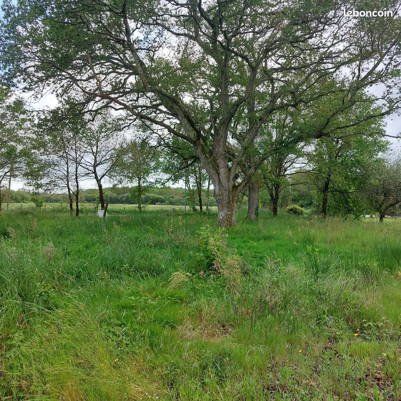 Terrain 700 m² · à Pontchâteau · 700 m² · 67 500 €