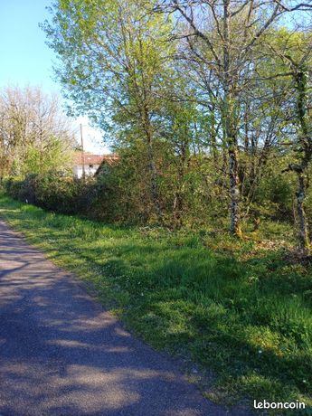 Terrain 3250 m2