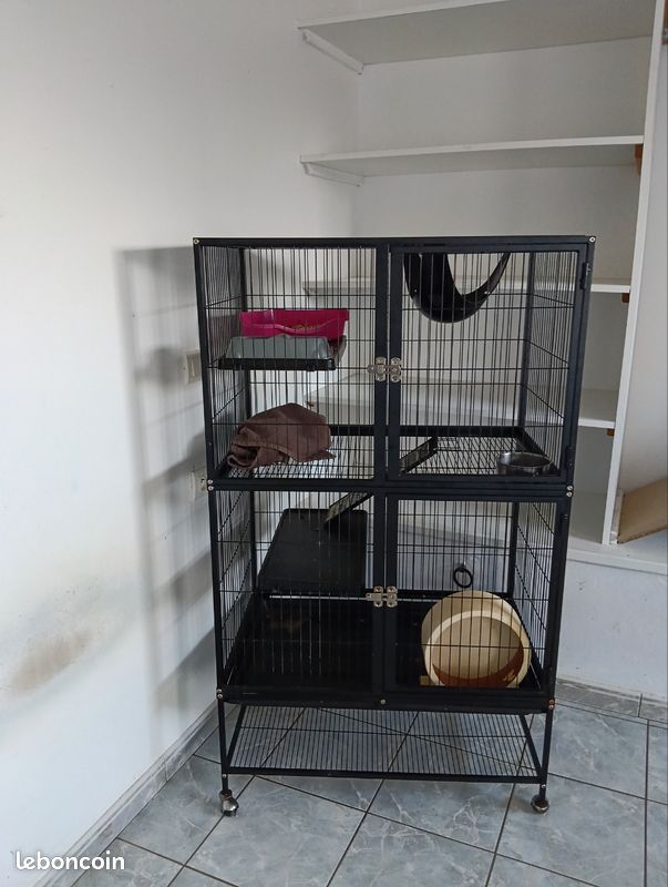 Cage (image 1)