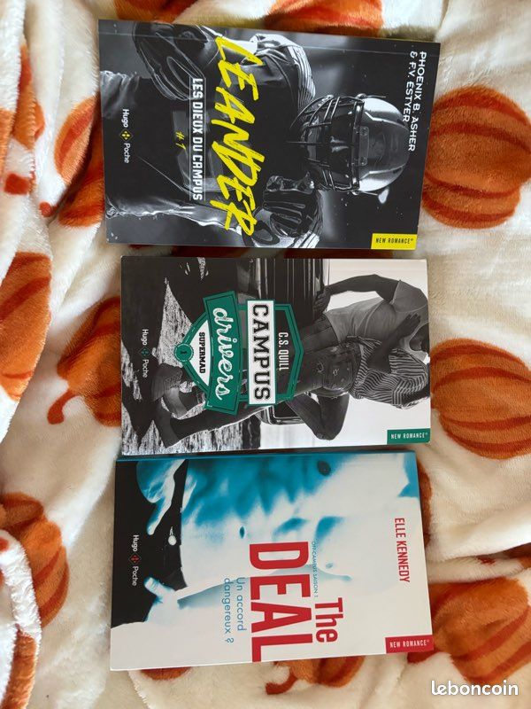 Lot livres new romance universitaire (image 1)