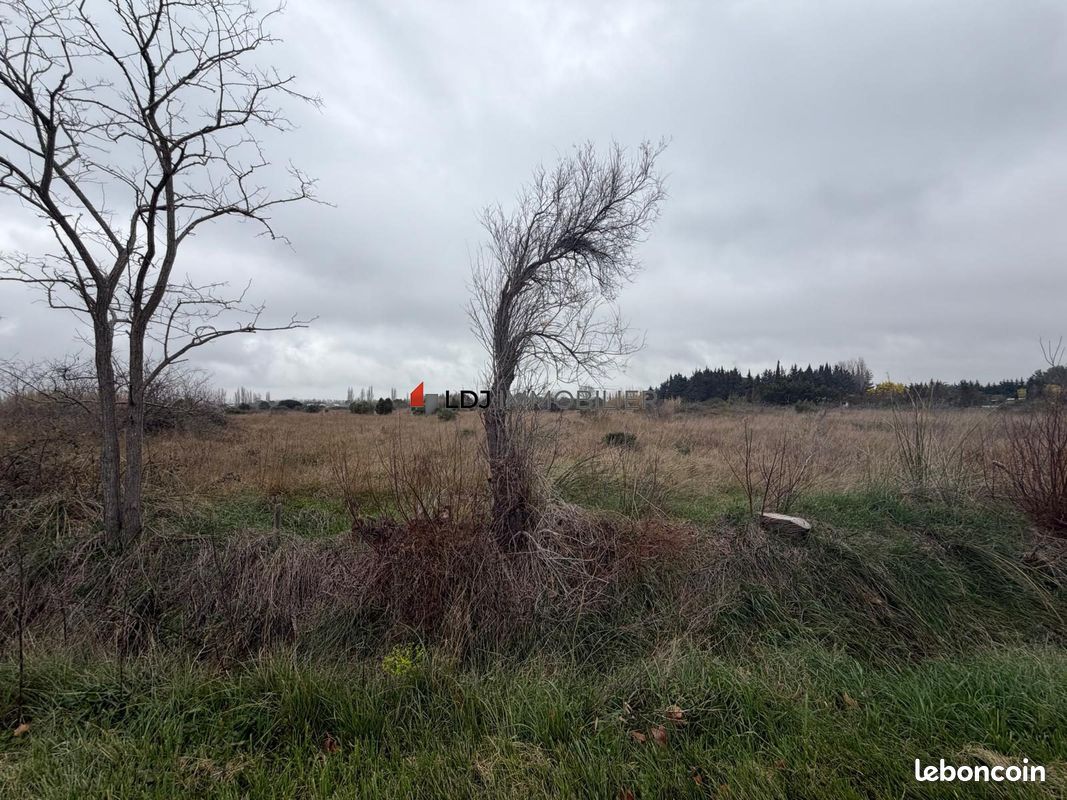 Terrain 18040 m² Saint-Hippolyte (image 4)