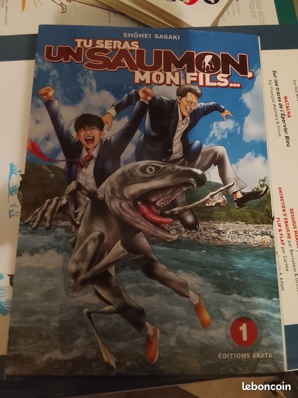 Lot de 13 mangas (image 1)