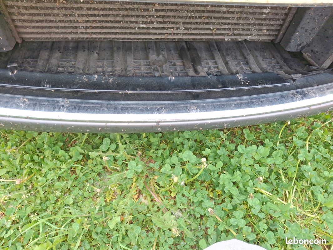 Grille avent scenic 3 (image 1)