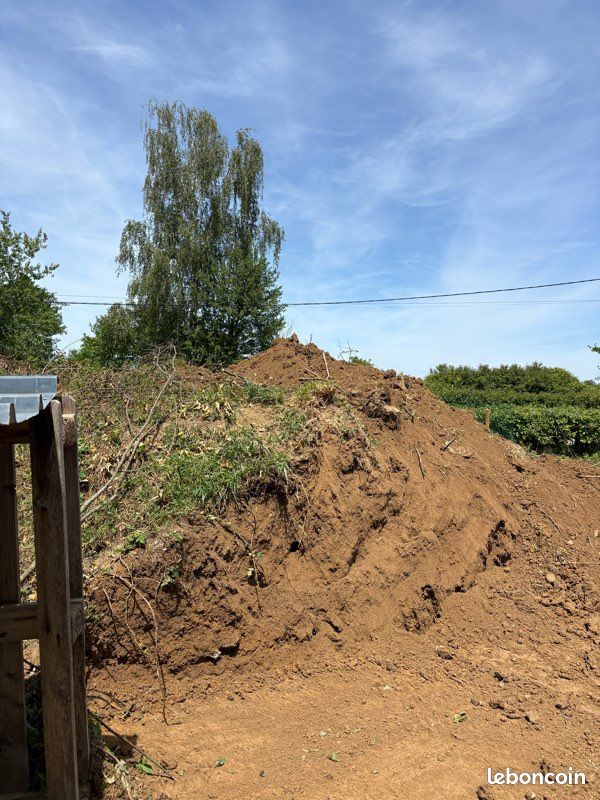 Terre (image 1)