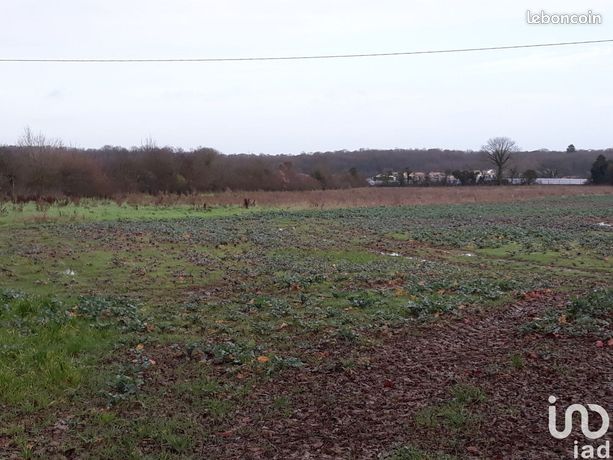 Terrain 15000 m² POITIERS