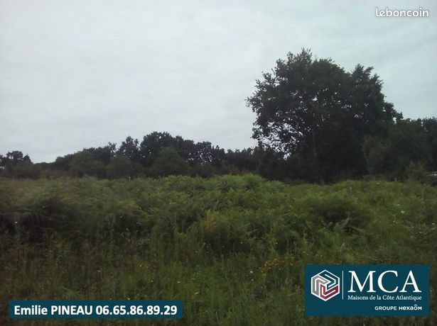 Terrain 550 m² Bidart