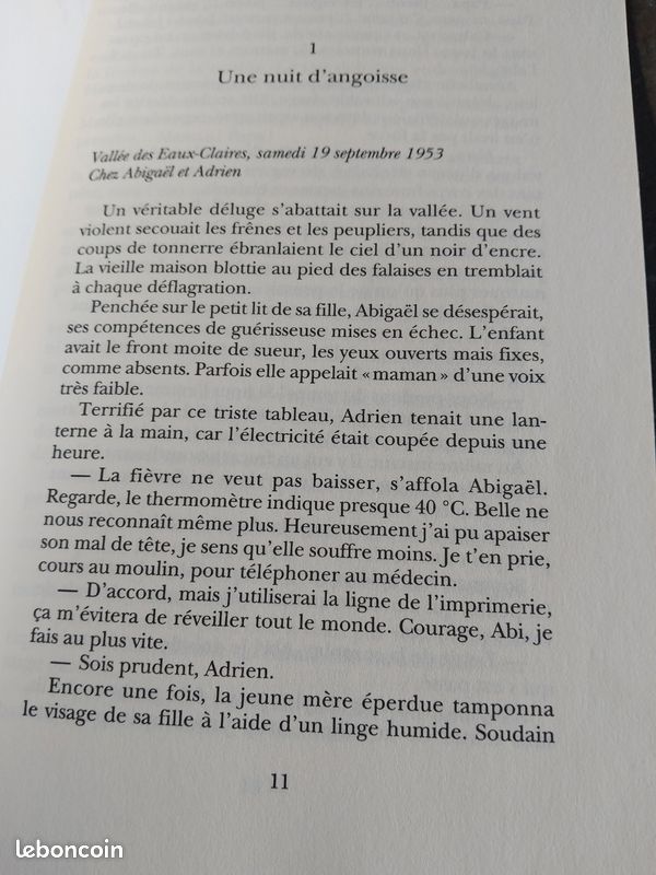 Abigael ou la force du destin Marie-Bernadette Dupuy (image 7)