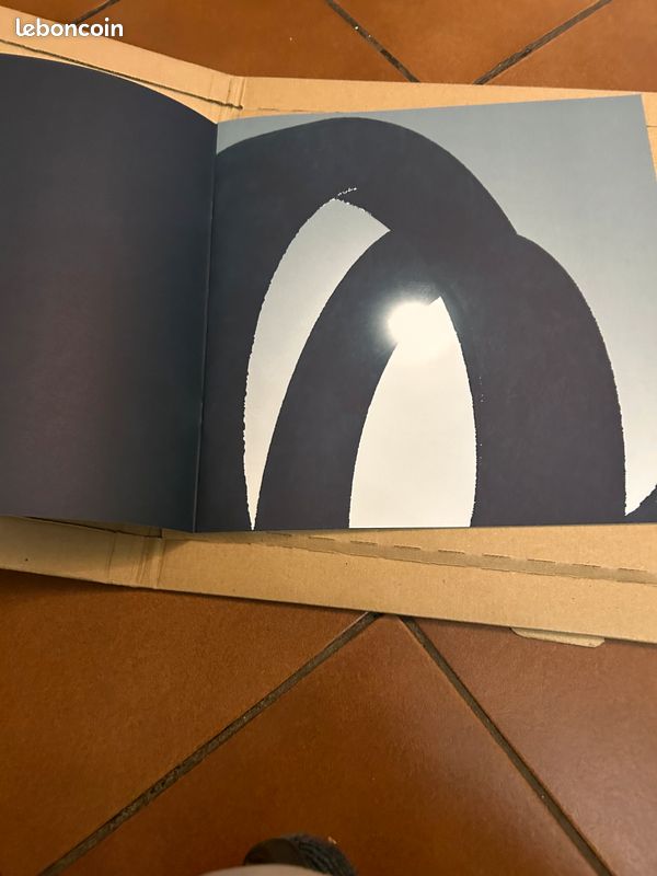 The KVB ‎– Unity Coloured vinyle with Signed artbook (image 4)