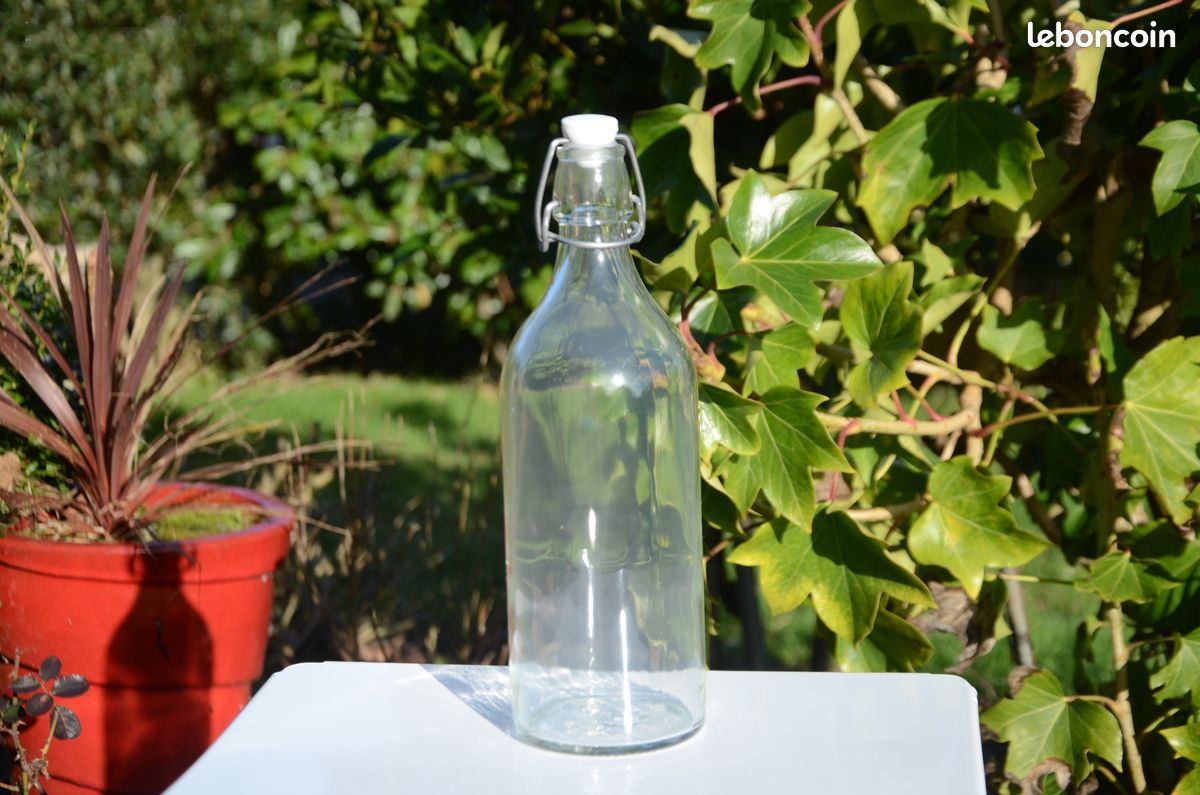 Bouteille en verre transparent ~ tb état (image 1)