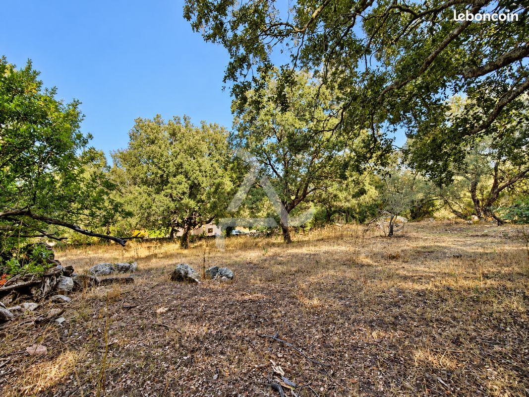 Terrain 18830 m² Porto-Vecchio (image 5)