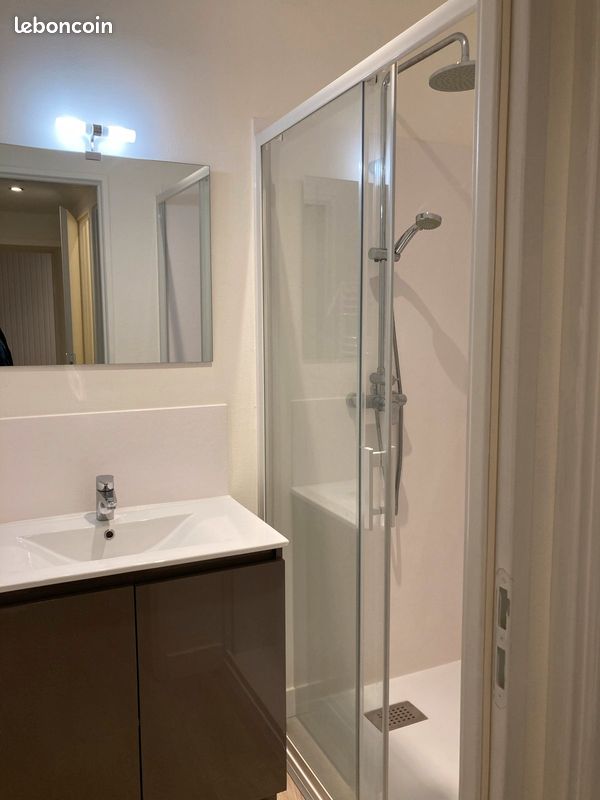 Appartement Limoges hypercentre neuf - Limoges 87000 (image principale 1)