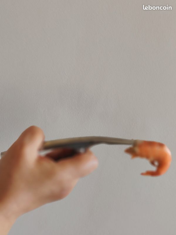 Éplucheur-décortiqueur à Crevettes En Inox - Argenté, Neuf Sous Emballage