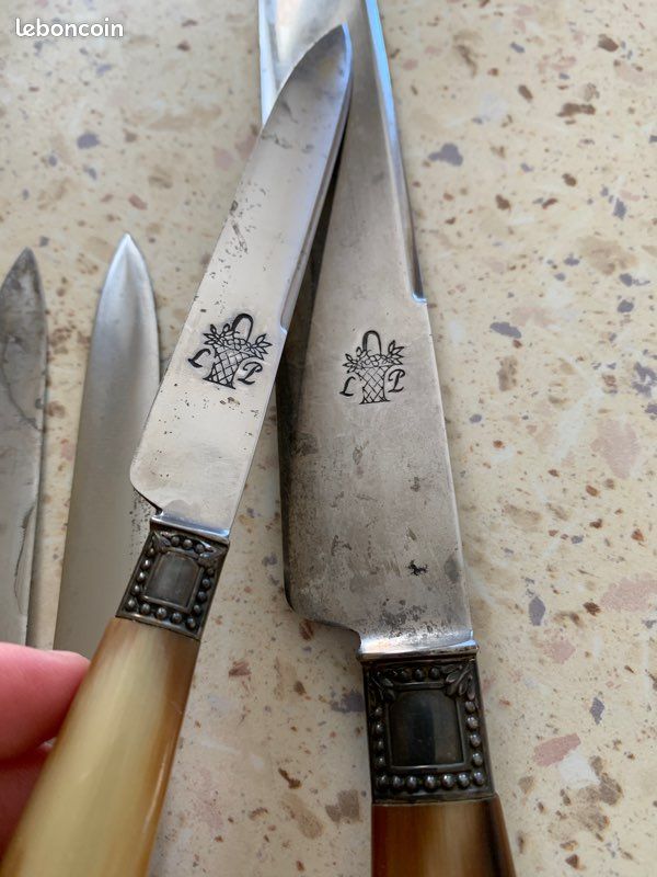 Lot de 12 anciens Couteaux en inox Pradel manche corne