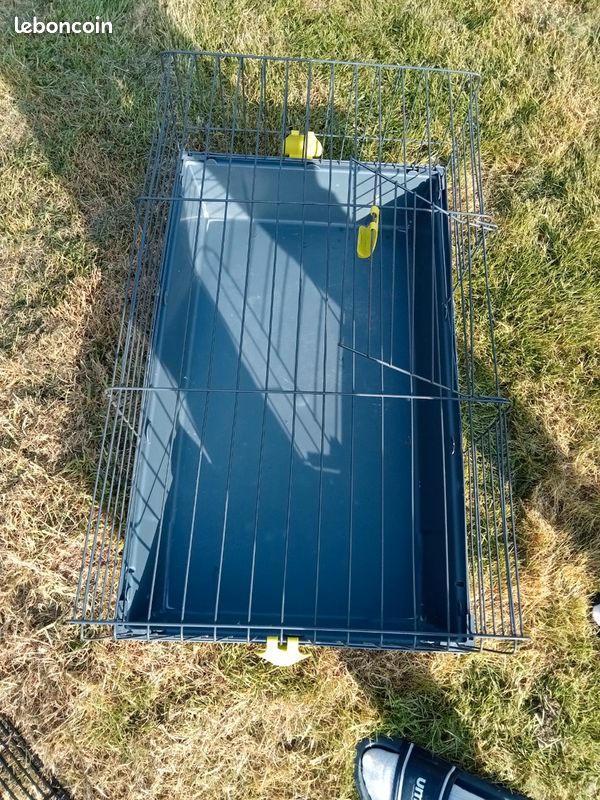Cage rongeur (image 2)