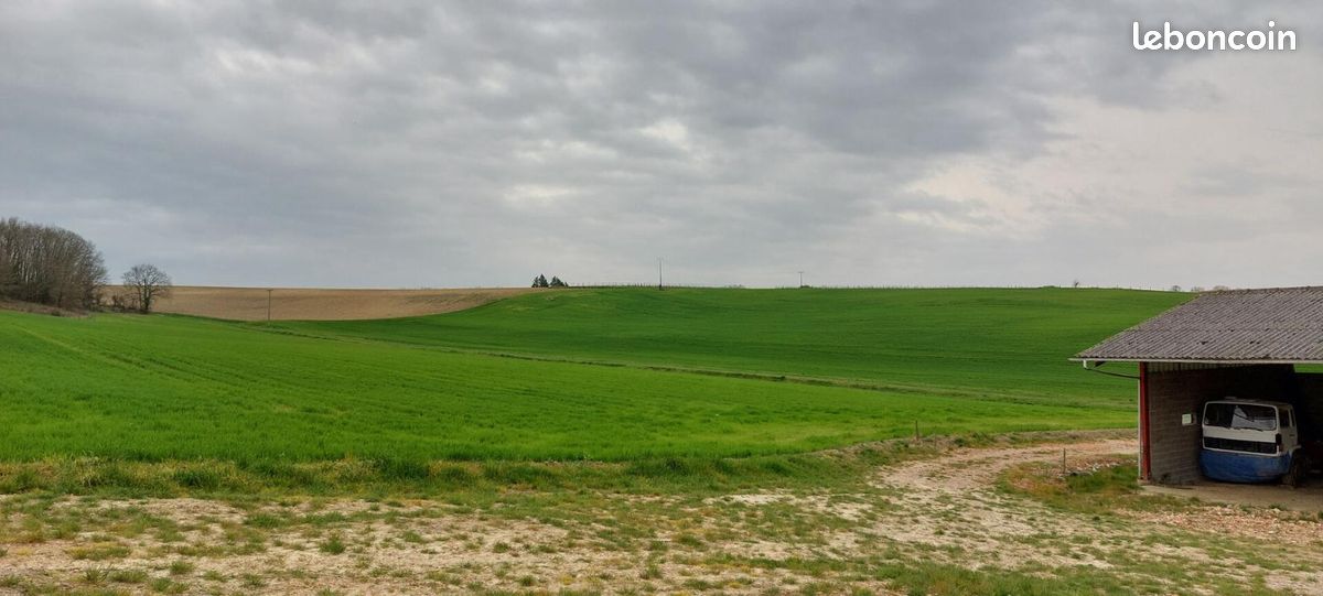 Ferme 1 pièce 300 m² (image 11)