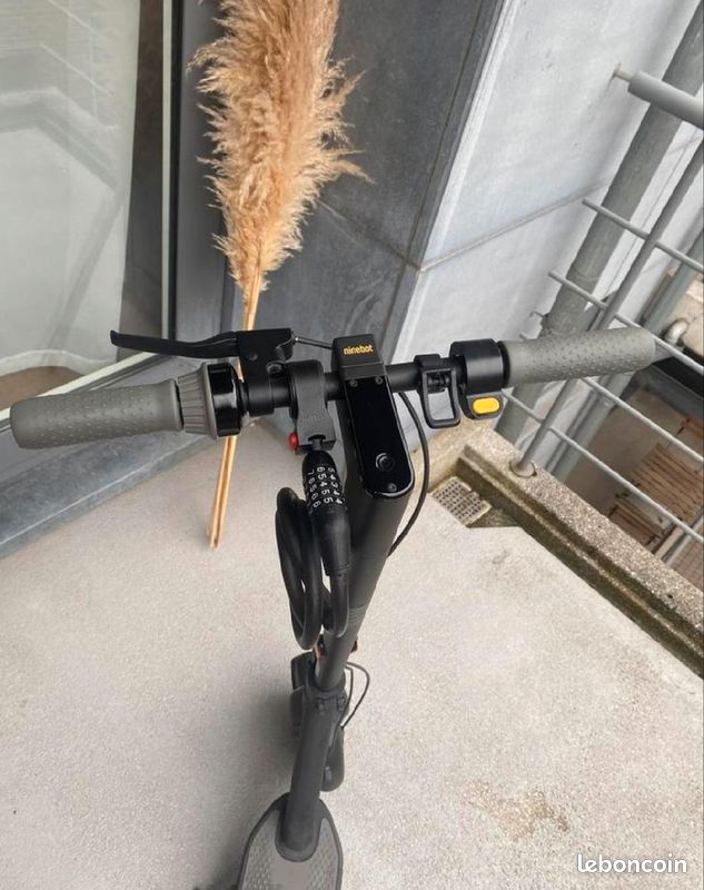 Trottinette électrique Ninebot Segway (image 2)
