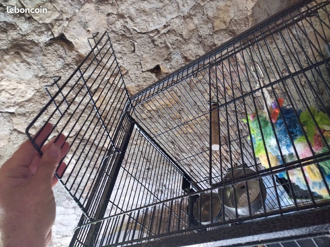 Cage perroquet / grande perruche (image 3)