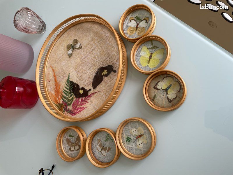 Papillons en Sous verres ou cadres decos - Décoration