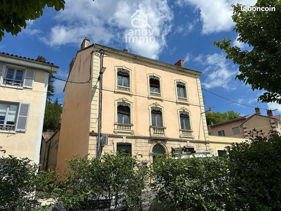 Appartement 12 pièces 300 m² · à Trévoux · 300 m² · 430 000 €