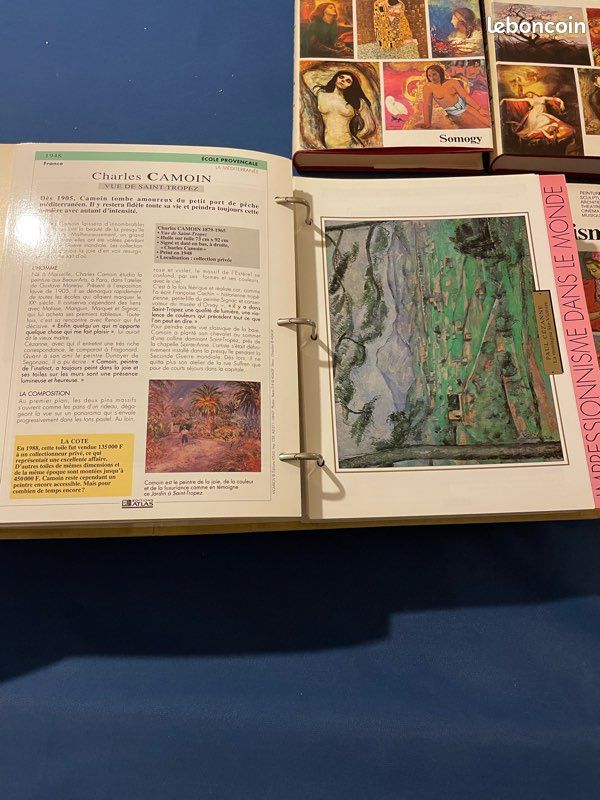Lot beaux livres peinture et encyclopédie impressionnisme (image 10)