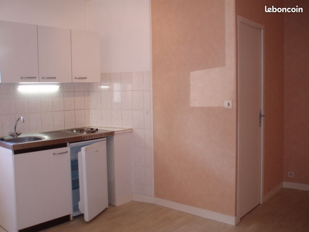 Studio à louer - Limoges 87000 Vanteaux-CHU-Mas Bouyol-Puy Rodas (image principale 1)