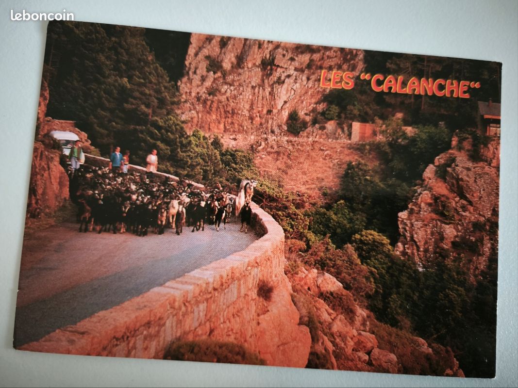 Carte postale troupeau aux calanches Corse (image 1)
