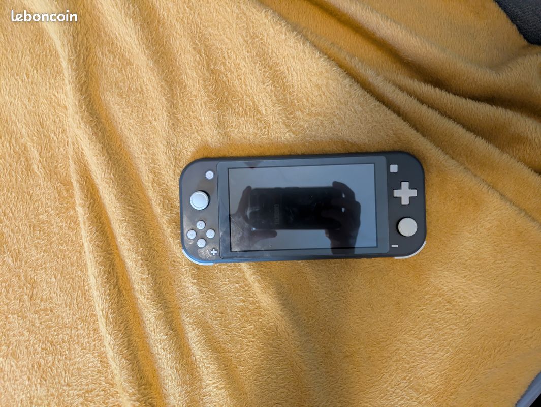 Nintendo Switch lite grise (image 6)