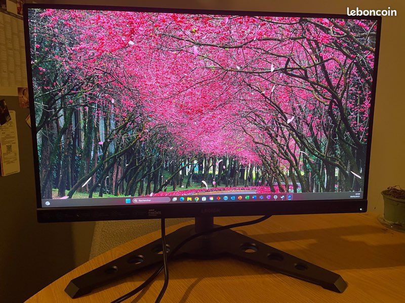 Écran PC Gaming Lenovo Y25-25 (image 1)