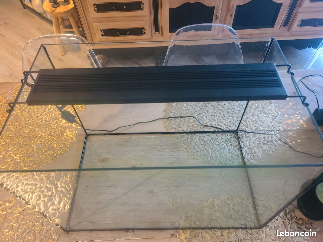 Aquarium Pompe (image 1)