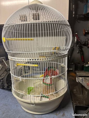 Cage Oiseaux Occasion Particulier