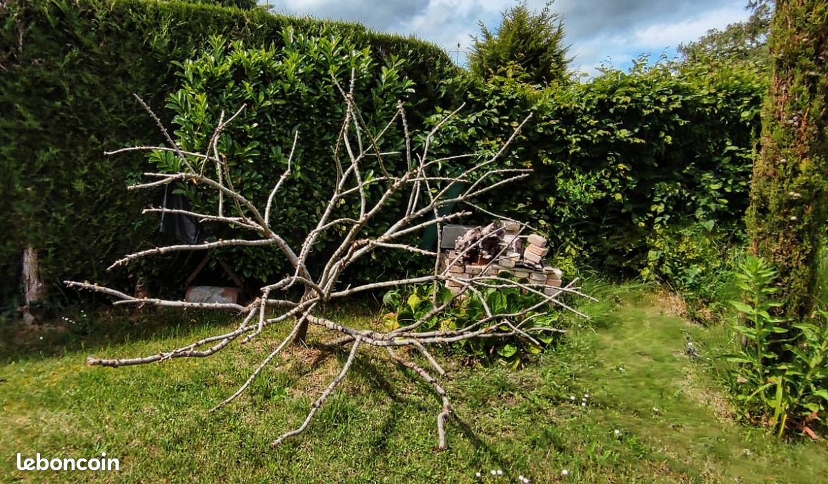 Arbre Bois De Parcours Accra Tz6 Graphite Stiff – 43 Pouces – Sans Embout – Occasion